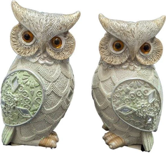 2 Uilen sneeuwuil links en rechts kijkend