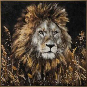 Canvas Schilderij Lion King – In Goudkleurige Houten Baklijst – 102.5 cm