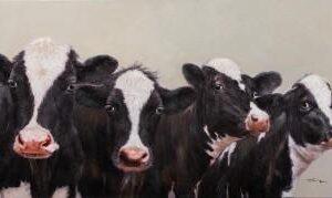 Canvas Schilderij – Nieuwsgierige Koeien – 70 x 140 cm